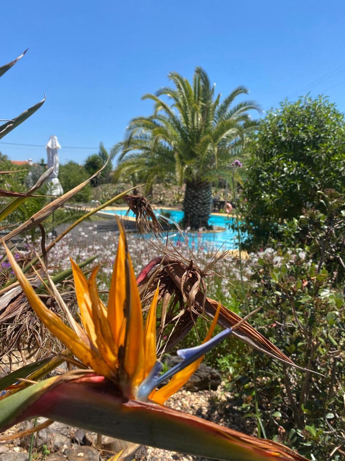 Villa Quinta Cunte - Casa Sobreiro à São Luis Extérieur photo