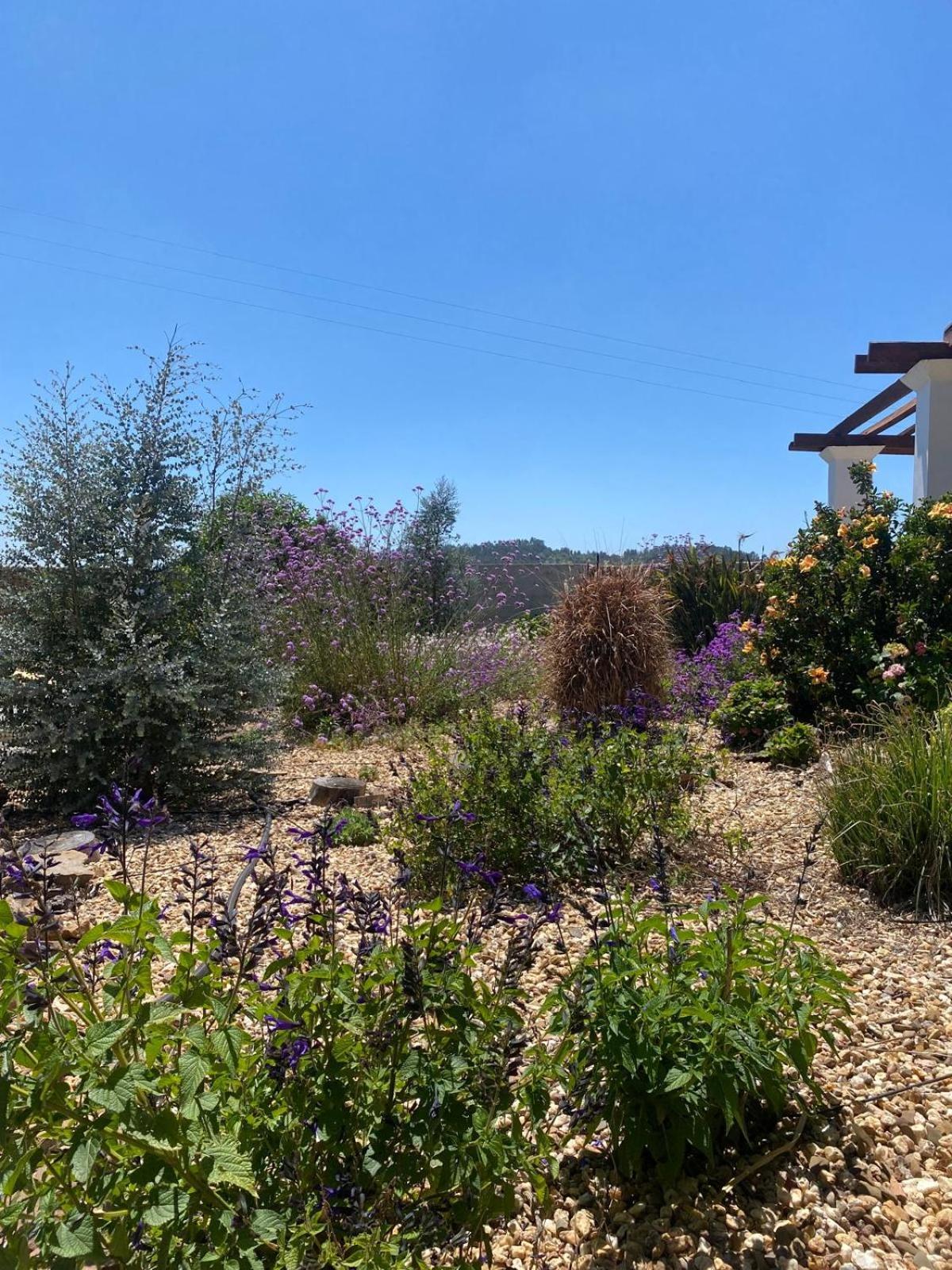 Villa Quinta Cunte - Casa Sobreiro à São Luis Extérieur photo